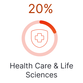 MPG_Q3 MEOS_2025_CA_Health Care Icon